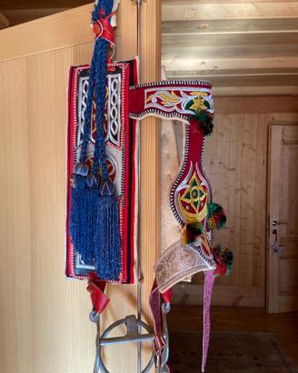 Briglia cavallo ararono da esposizione