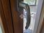 Immagine 27