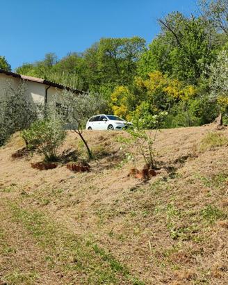 Villa immersa nel verde