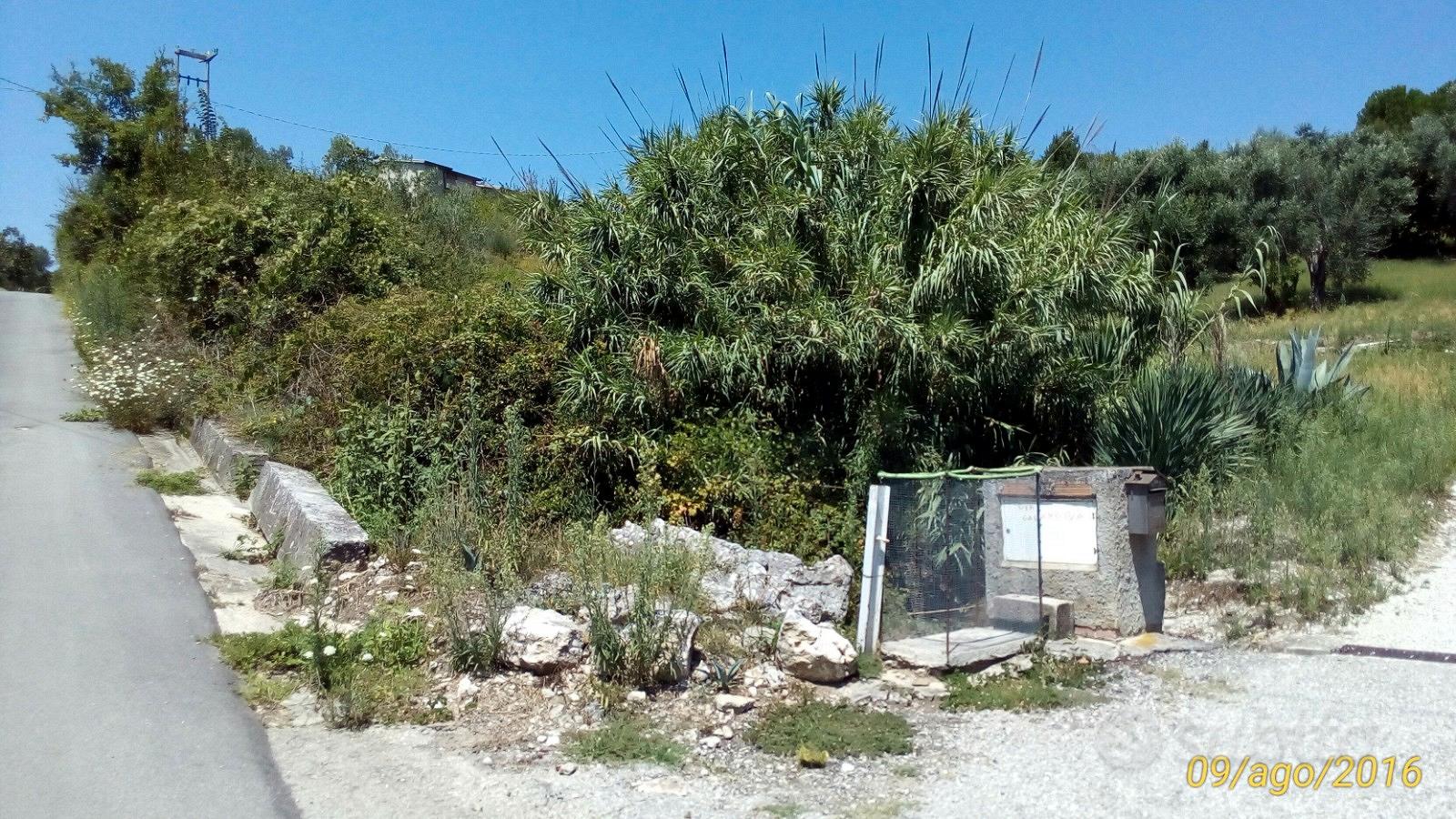 Terreno agricolo - Vista 2