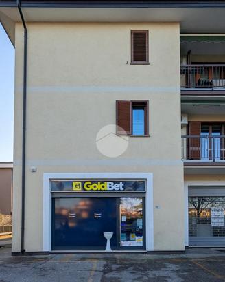 ATTIVITÀ A MONTICHIARI