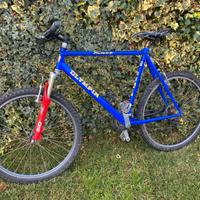 Bici in ordine