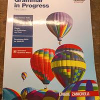 libri scuola grammar in progress 