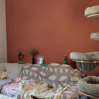 Casa Indipendente su due piani