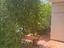 Immagine 11