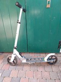 Monopattino super veloce fino a 100 kg 