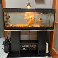 Acquario/Tartarughiera