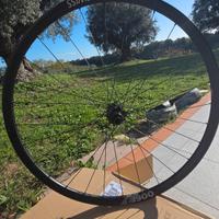 dt swiss e 1900 posteriore per shimano
