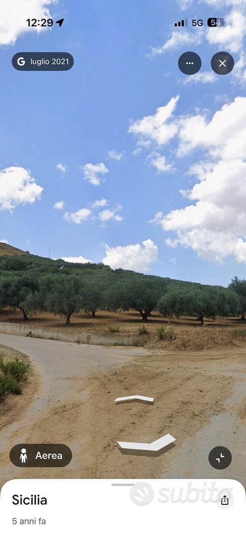 Terreno mokarta salemi 3,40 Ett 300 piante uliveto - Altro