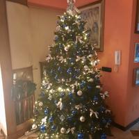 Albero di Natale di 210 cm.