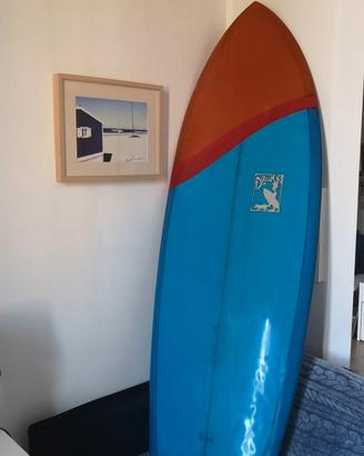 tavola da surf Dr Ank