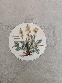 Villeroy & Boch "Botanica"  Scatola in Porcellana