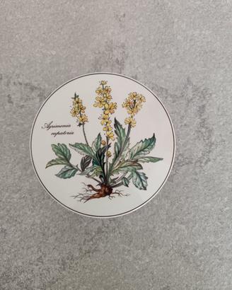 Villeroy & Boch "Botanica"  Scatola in Porcellana