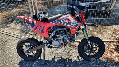 PITOM VARIANTE ALTA 2022 (Full Maselli)