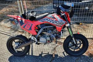 PITOM VARIANTE ALTA 2022 (Full Maselli)