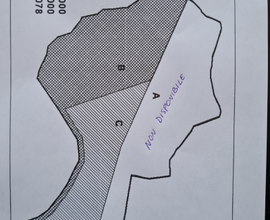 Terreno 1,7 ettari