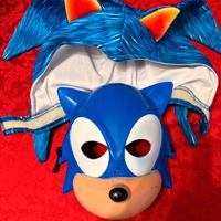 Costume  Carnevale Sonic