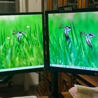 N. 2 MONITOR LG LED FHD da 21 “