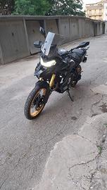 Vige 900 dsx 2025