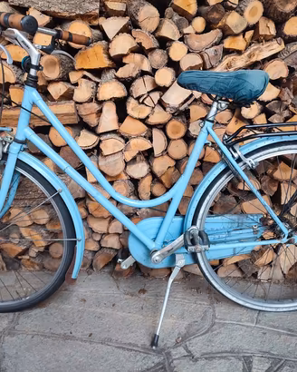 citybike