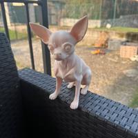 Stampa 3 D pedonalizzata