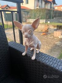 Stampa 3 D pedonalizzata