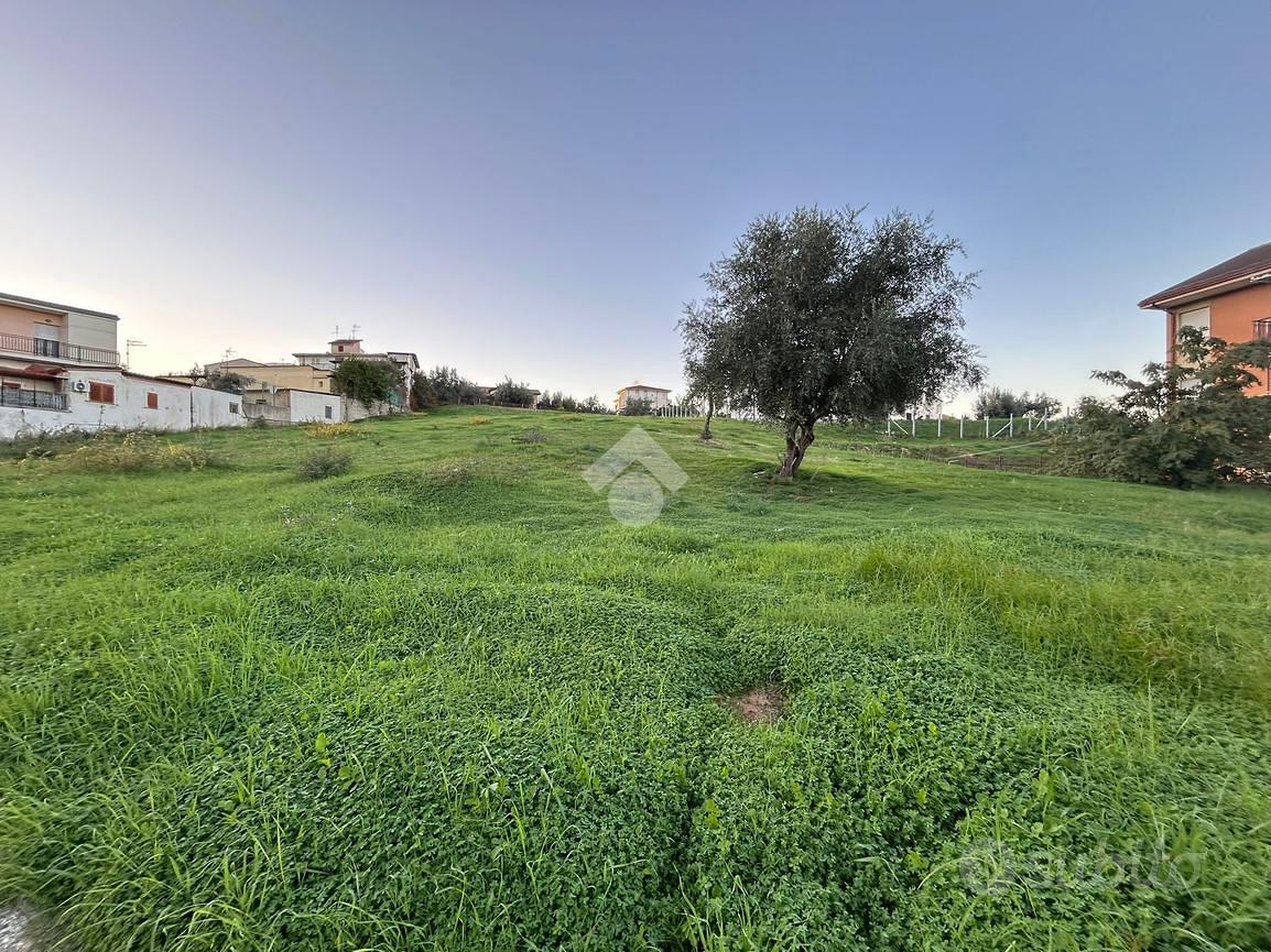 TERRENO A CORIGLIANO-ROSSANO - Vista 3