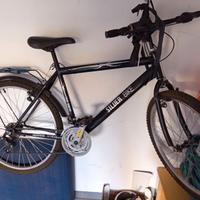 Bicicletta Silver Bike
