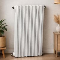 Termosifone in ghisa 