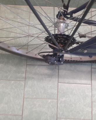 Bicicletta