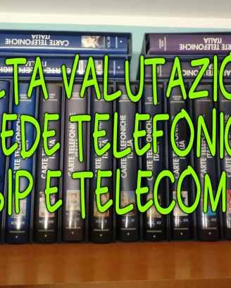 VALUTO / RITIRO Raccolte Schede Telefoniche Italia