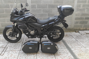 Suzuki V-Strom 650 20215
