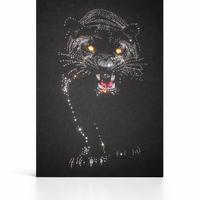 ✨ Pantera – Edizione Limitata ✨