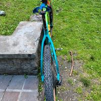 MTB Orbea