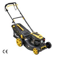 Rasaerba a scoppio semovente Papillon LM 48-SP N