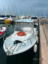 Barca a motore