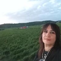 Compagnia e supporto per anziani