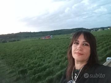 Compagnia e supporto per anziani