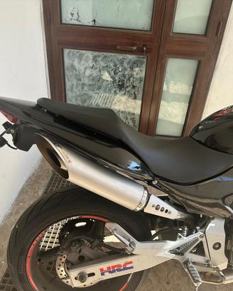 Hornet 600 A2