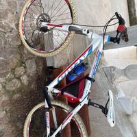 Bicicletta maschile