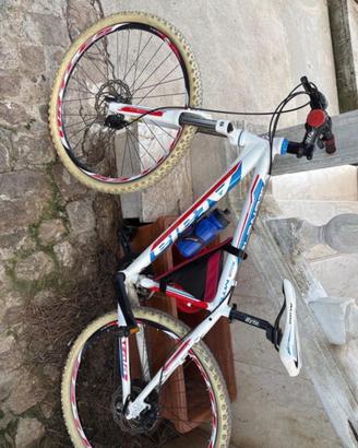 Bicicletta maschile