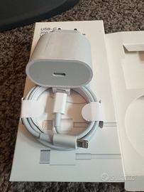 caricabatterie iPhone