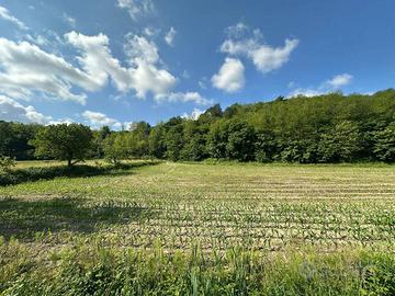 Terreno di 2091 m² a Sirone