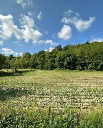 Terreno di 2091 m² a Sirone