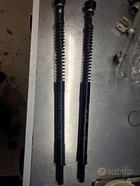 cartucce bitubo pressurizzate Aprilia rs 660