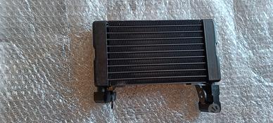 Radiatore olio Ducati Scrambler 1100