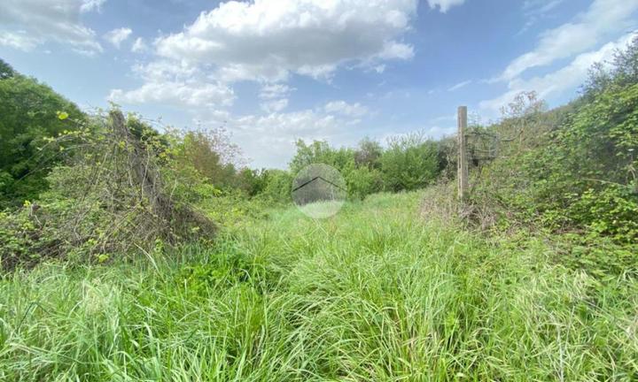 TER. AGRICOLO A PALOMBARA SABINA