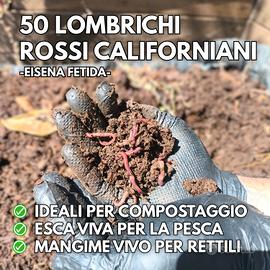 Lombrichi Rossi Californiani Humus