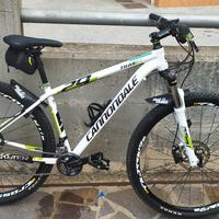 MTB cannondale 29