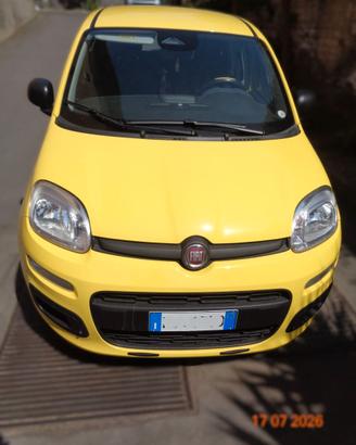 fiat panda hybrid pop , gennaio 2026 - Euro12.500